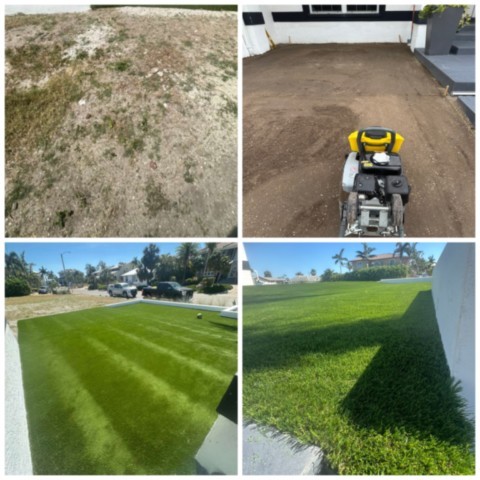 Artificial grass Artificial grass